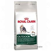 Rc Cat Outdoor  7 4Kg