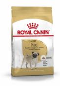 Rc Breed Pug  7.5Kg