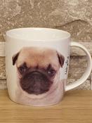 Pug Puppy Mug