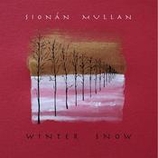 Winter Snow - 12 Track Christmas Album
