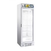 FREEZER 1 GLASS DOOR 382L image
