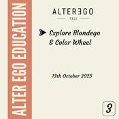 Course 3: Explore Blondego &amp; Color Wheel