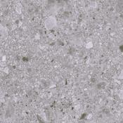 Ceppo Grey 60x60 image