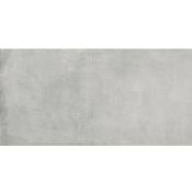 Maison Silver 60x120 image