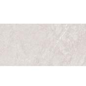 Titanium Silver 30x60 image