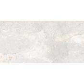 Mainstone Silver Polished 60x120 image