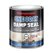 THOMPSONS ONE COAT DAMP SEAL 750ML image