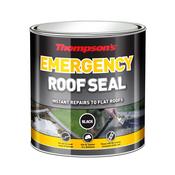 THOMS HP 10YR ROOF SEAL BLACK 1LT image