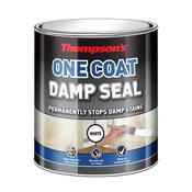 THOMPSONS ONE COAT DAMP SEAL 750ML image