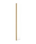 SONAS Aspect 300 Brushed Gold Flipper Panel image