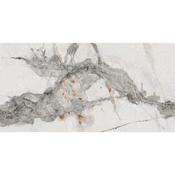 Invisible Marble Brown 60x120 image