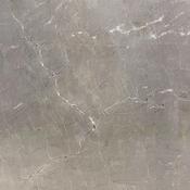 Pulpis Fossil  80x80 image