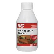 HG 4 in 1 Cleaner 250ml image
