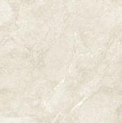 Titanium Ivory 60x60 image