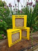 Section Honey