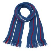 Mount Sackville School Scarf image