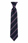 Scoil Bhríde Tie (Elasticated)