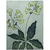 Margaret Becker: Cowslip — Leinster Printmaking Studio