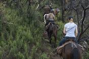 Carrick on Shannon Horse Riding Adventure Hen Package