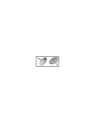 Drawing Pin. Box100 image
