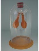 Lung Demonstration Model (Each)