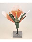Model, Typical Flower (Large size on Base) (Each)