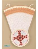 BIO/207 Model, Dicot Root T.S. (Each)