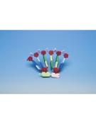 Molymod Protein synthesis kit (Each)