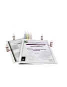 Simulated ABO/Rh Blood Typing (Each)