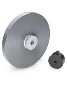 Gyroscope Disk and Mass