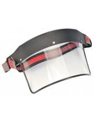 Safety Visor image