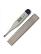 Thermometer Clinical Digital image