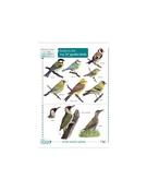 Key "Top 50 Garden Birds"