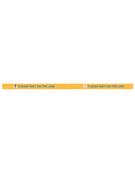 Strip Floor Graphic "Wait on the Line" 2m x 80mm (WxH) Child Friendly Design