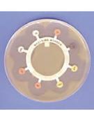 Mast Rings Pack/10 Antibiotic Susceptibility Testing Rings