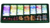 Euro Notes &amp;amp; Coins Tray (290)