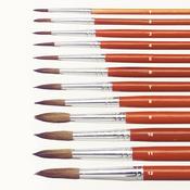 Paint Brushes: Water Colour (12)