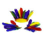 Feathers: Giant 20grm image