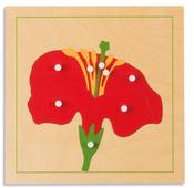 Botany Puzzles: Flower image