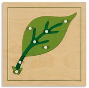 Botany Puzzles: Leaf image