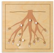 Botany Puzzles: Root image