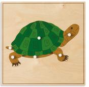 Animal Puzzles: Turtle image