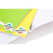 Premto A4 120pg Manuscript Book image
