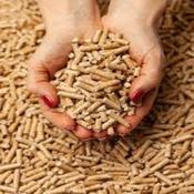 Wood Pellets