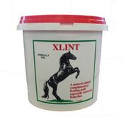 Xlint