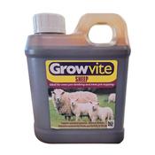 Growvite Sheep