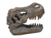 Tyrannosaurus - Rex  Small Skull 16 cm