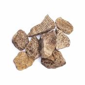 Rough Aragonite