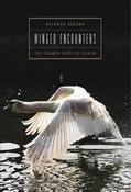 Winged Encounters: The Common Birds of Dublin image