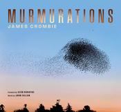Murmurations image